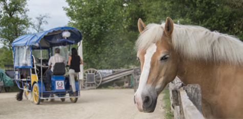 Projekt und Standort Projekt und Standort